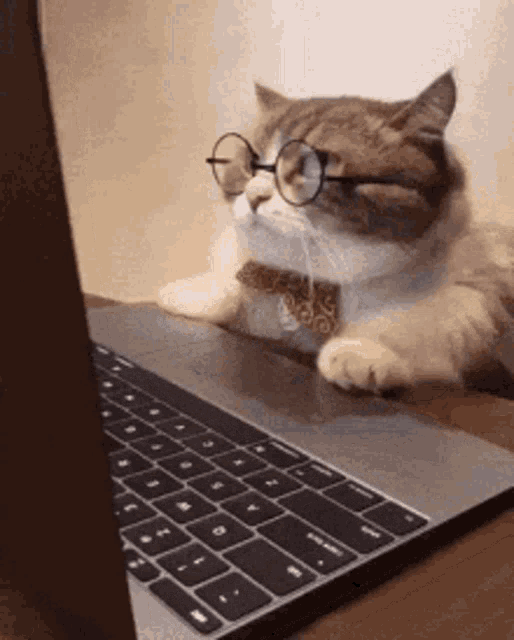 Cat code review